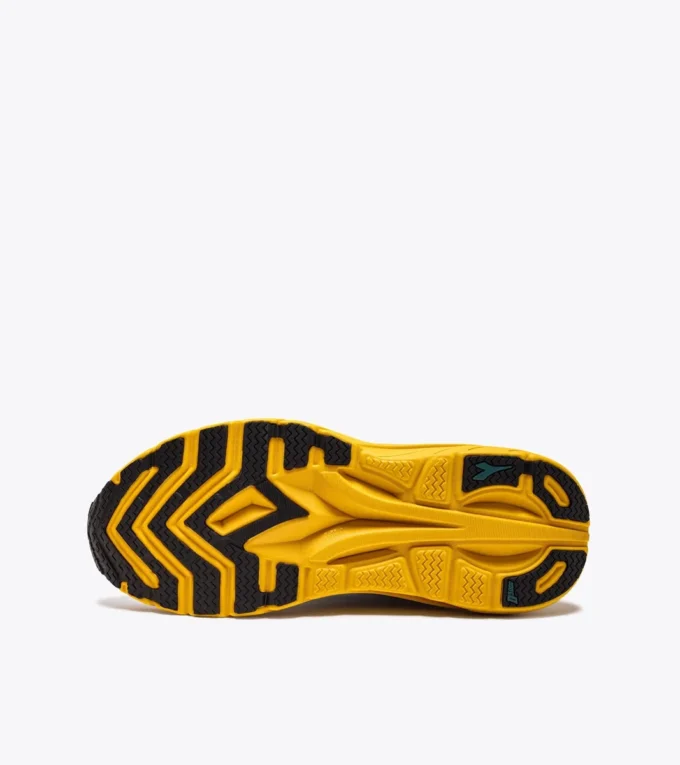 Equipe Nucleo Running shoes