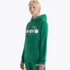 Hoodie Logo Color block hoodie