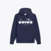 Hoodie Logo Color block hoodie