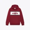 Hoodie Logo Color block hoodie Hoodie Logo Color block hoodie