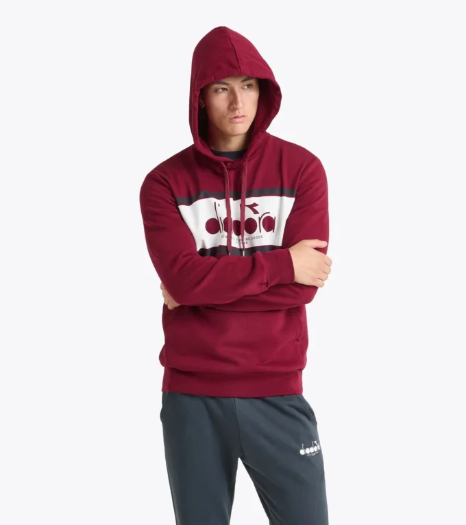 Hoodie Logo Color block hoodie Hoodie Logo Color block hoodie