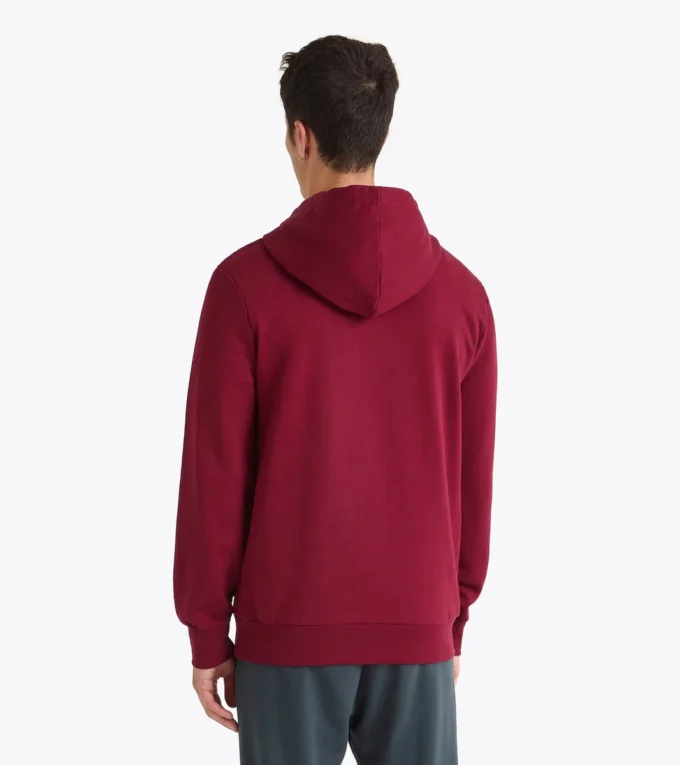 Hoodie Logo Color block hoodie Hoodie Logo Color block hoodie