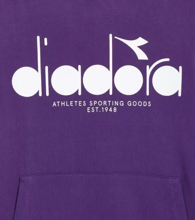 Hoodie Logo Color block hoodie