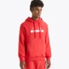 Hoodie Logo Sporty hoodie – Made in Italy – Gender Neutral Hoodie Logo Sporty hoodie – Made in Italy – Gender Neutral