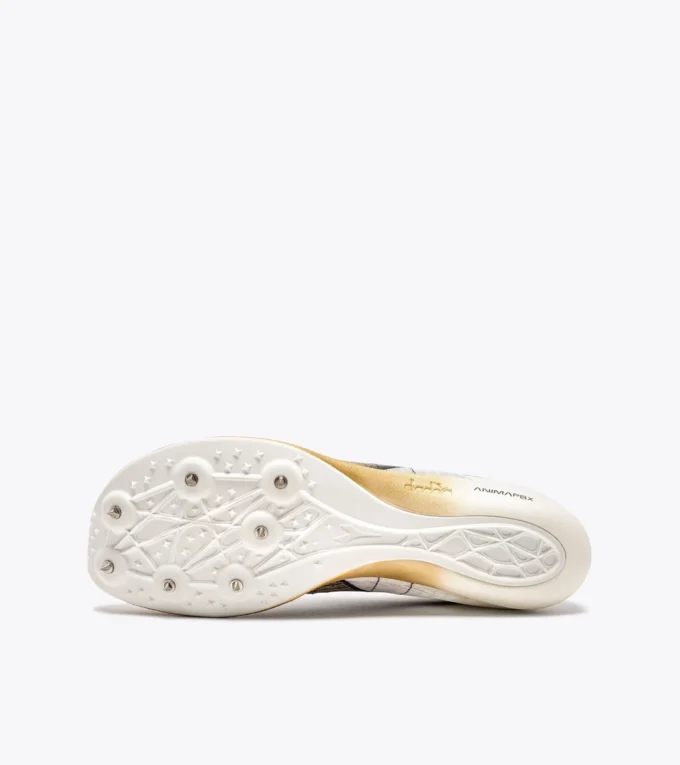Velocita Carbon Running shoe – Unisex Velocita Carbon Running shoe – Unisex